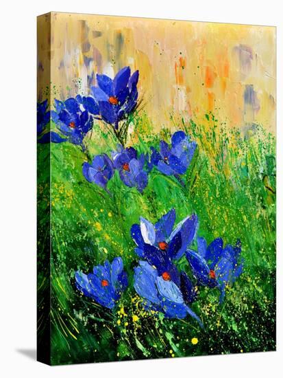 Crocuses-Pol Ledent-Stretched Canvas