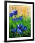 Crocuses-Pol Ledent-Framed Art Print