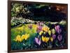 Crocusses-Pol Ledent-Framed Art Print