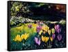 Crocusses-Pol Ledent-Framed Stretched Canvas