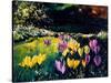 Crocusses-Pol Ledent-Stretched Canvas