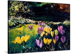 Crocusses-Pol Ledent-Stretched Canvas