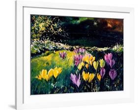 Crocusses-Pol Ledent-Framed Art Print