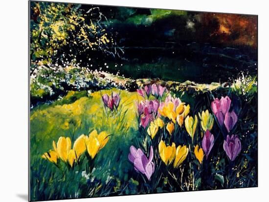 Crocusses-Pol Ledent-Mounted Art Print