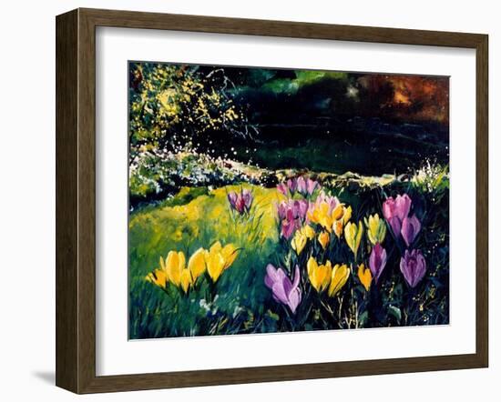 Crocusses-Pol Ledent-Framed Art Print