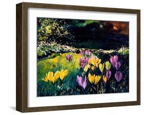 Crocusses-Pol Ledent-Framed Art Print