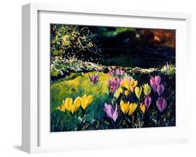 Crocusses-Pol Ledent-Framed Art Print