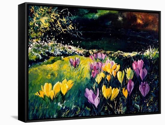 Crocusses-Pol Ledent-Framed Stretched Canvas