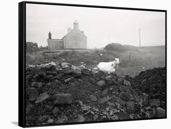 Croft, Mealista, Lewis 1988-null-Framed Stretched Canvas