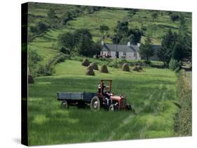 Croft with Hay Cocks and Tractor, Glengesh, County Donegal, Eire (Republic of Ireland)-Duncan Maxwell-Stretched Canvas