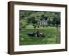 Croft with Hay Cocks and Tractor, Glengesh, County Donegal, Eire (Republic of Ireland)-Duncan Maxwell-Framed Photographic Print