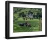 Croft with Hay Cocks and Tractor, Glengesh, County Donegal, Eire (Republic of Ireland)-Duncan Maxwell-Framed Photographic Print