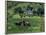 Croft with Hay Cocks and Tractor, Glengesh, County Donegal, Eire (Republic of Ireland)-Duncan Maxwell-Framed Photographic Print