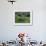 Croft with Hay Cocks and Tractor, Glengesh, County Donegal, Eire (Republic of Ireland)-Duncan Maxwell-Framed Photographic Print displayed on a wall