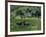 Croft with Hay Cocks and Tractor, Glengesh, County Donegal, Eire (Republic of Ireland)-Duncan Maxwell-Framed Photographic Print