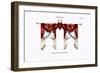 Croisees No. 28-Osmont-Framed Premium Giclee Print