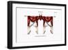 Croisees No. 28-Osmont-Framed Premium Giclee Print