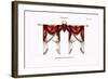 Croisees No. 28-Osmont-Framed Art Print