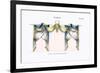 Croisees No. 30-Osmont-Framed Art Print