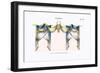 Croisees No. 30-Osmont-Framed Premium Giclee Print