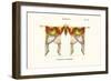 Croisees No. 36-Osmont-Framed Art Print