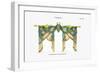 Croisees No. 38-Osmont-Framed Art Print