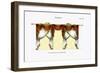 Croisees No. 40-Osmont-Framed Art Print