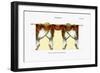 Croisees No. 40-Osmont-Framed Art Print