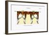 Croisees No. 40-Osmont-Framed Art Print