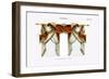 Croisees No. 44-Osmont-Framed Premium Giclee Print