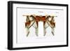 Croisees No. 44-Osmont-Framed Premium Giclee Print