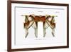 Croisees No. 44-Osmont-Framed Art Print