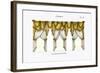 Croisees No. 48-Osmont-Framed Art Print