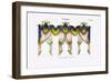 Croisees No. 49-Osmont-Framed Premium Giclee Print