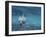 Croisement Bleu-Marc Pelissier-Framed Giclee Print