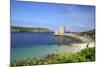 Cromwell's Castle in Summer Sunshine, Isle of Tresco, Isles of Scilly, United Kingdom, Europe-Peter Barritt-Mounted Photographic Print