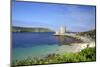 Cromwell's Castle in Summer Sunshine, Isle of Tresco, Isles of Scilly, United Kingdom, Europe-Peter Barritt-Mounted Photographic Print