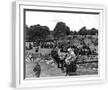 Chelsea White