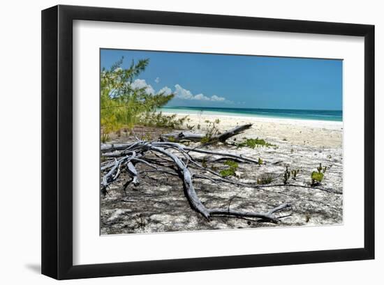 Crooked Branches-Jan Michael Ringlever-Framed Art Print