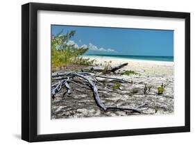 Crooked Branches-Jan Michael Ringlever-Framed Art Print