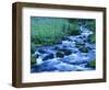 Crooked Creek, Bird Creek Meadows, Washington, USA-Charles Gurche-Framed Photographic Print