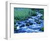 Crooked Creek, Bird Creek Meadows, Washington, USA-Charles Gurche-Framed Photographic Print