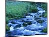 Crooked Creek, Bird Creek Meadows, Washington, USA-Charles Gurche-Mounted Photographic Print