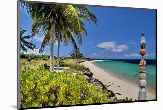 Crooked Island Lookout-Jan Michael Ringlever-Mounted Art Print