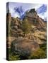 Crooked River Petroglyph-Steve Terrill-Stretched Canvas