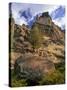 Crooked River Petroglyph-Steve Terrill-Stretched Canvas