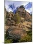 Crooked River Petroglyph-Steve Terrill-Mounted Photographic Print