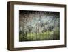 Crooked River State Park, Oregon, USA. Common teasel, Dipsacus sylvestris fronts an impressionist s-Mark Williford-Framed Photographic Print