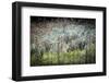 Crooked River State Park, Oregon, USA. Common teasel, Dipsacus sylvestris fronts an impressionist s-Mark Williford-Framed Photographic Print