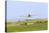 Crop Duster Airplane Spraying Farm Field Near Mott, North Dakota, USA-Chuck Haney-Stretched Canvas